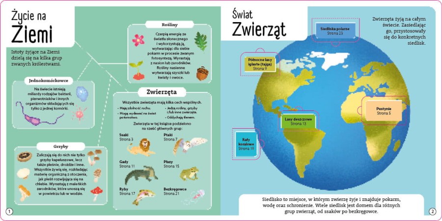 Wspaniałe zwierzęta. Otwórz okienko / Wydawnictwo Wilga
