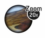 Mikroskop dwuokularowy 40 doświadczeń / Buki
