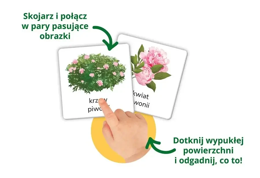 Montessori karty sensoryczne. Przyroda tu i tam / Kapitan Nauka