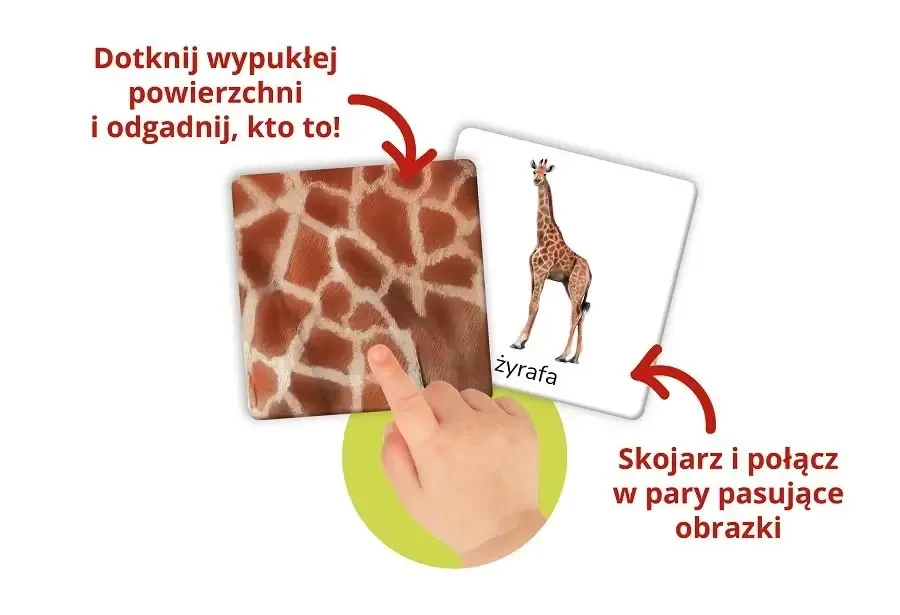 Montessori. Karty sensoryczne z książeczką. Zwierzęta tu i tam / Kapitan Nauka