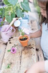 Wiaderko Fairy Garden / Little Dutch