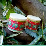 Bongo / Djeco