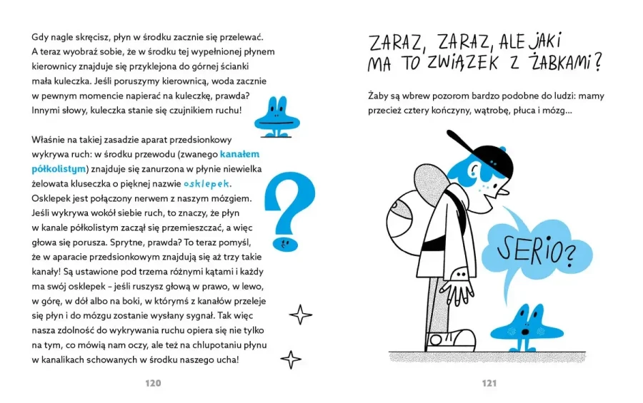 Nie ma głupich pytań! / Wydawnictwo Wilga