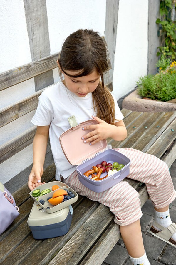 Lunchbox z wkładką Tiny Outdoor Rainbow / Lassig