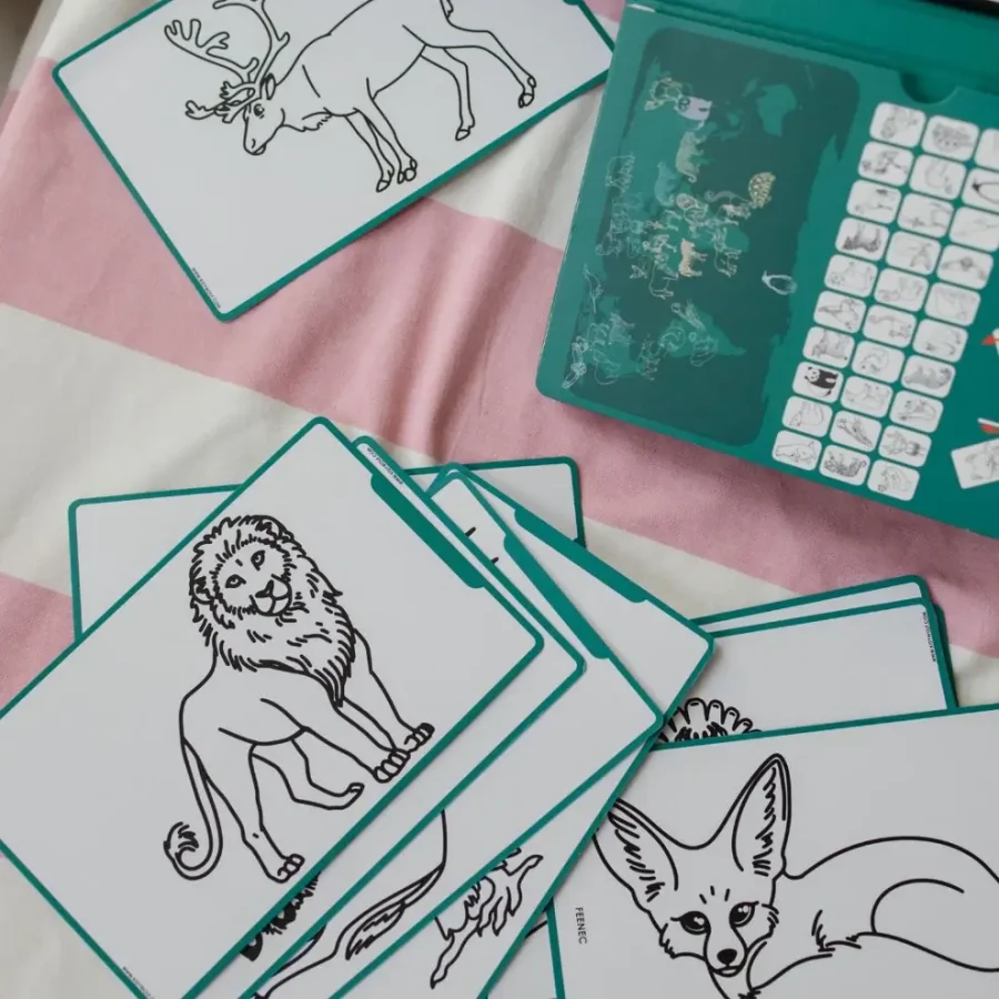 Podświetlany tablet do rysowania KIDYDRAW-MINI - zwierzęta dookoła świata / Kidywolf