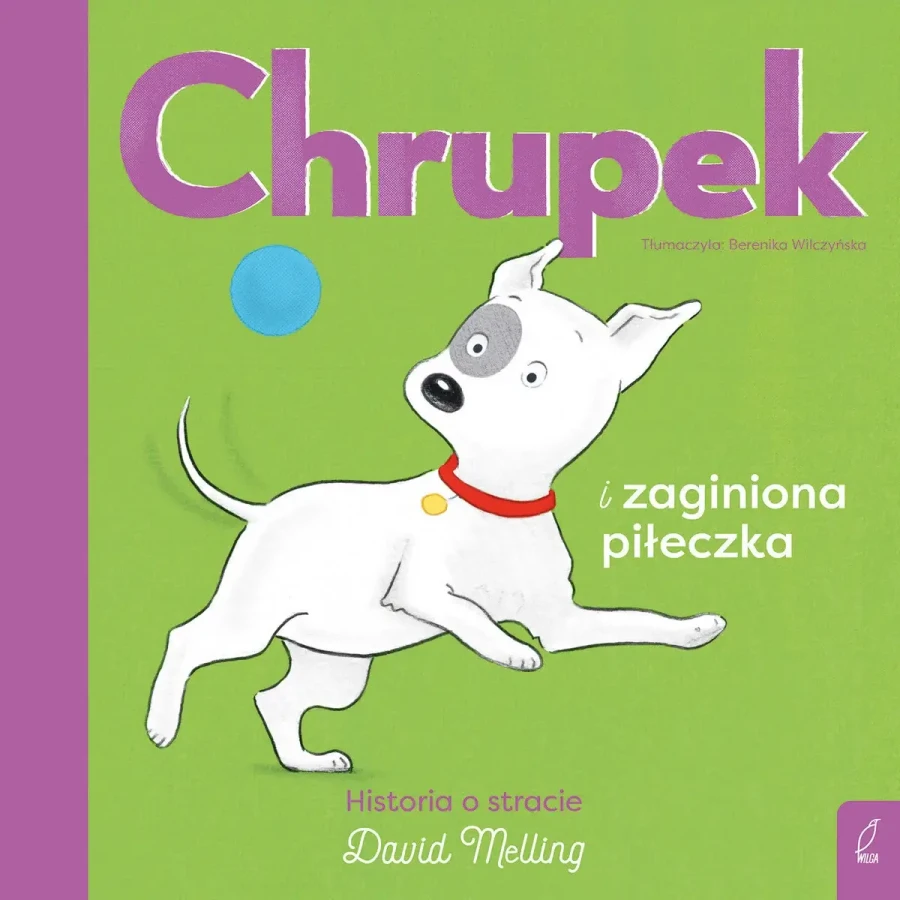 Chrupek i zaginiona piłeczka / Wydawnictwo Wilga