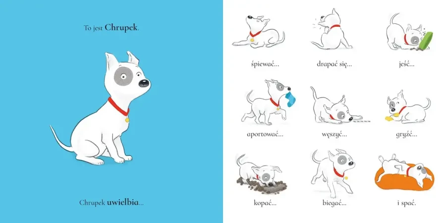 Chrupek i zaginiona piłeczka / Wydawnictwo Wilga