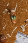Butelka obserwacyjna - dinozaury JURASSIC / Petit Boum