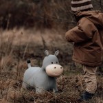 Skoczek - Hipopotam / Find that Hippo