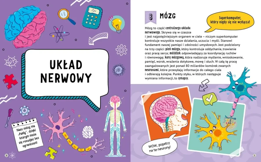 101 ciekawych faktów o naszym ciele / Wydawnictwo Wilga