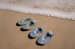 Buty do wody Seashells Surf Blue / Little Dutch