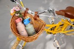 Bidon ze stali nierdzewnej z ustnikiem i uchwytem 500 ml Sunny Explorer green & blue / Lassig