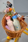 Bidon ze stali nierdzewnej z ustnikiem i uchwytem 500 ml Sunny Explorer rose&pink / Lassig