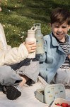 Butelka bidon 350 ml Sweet Cars / KIDZROOM
