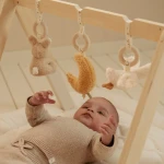Pałąk interaktywny Newborn Naturals / Little Dutch