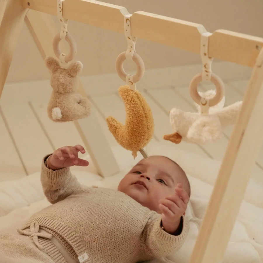 Pałąk interaktywny Newborn Naturals / Little Dutch