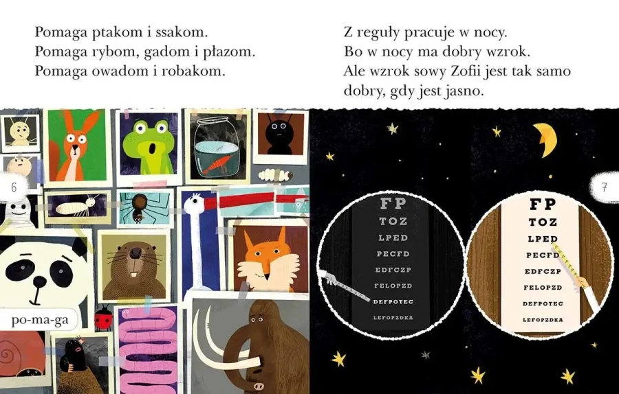 Detektyw Sowa na tropie. Czytam sobie. Poziom 2 / HarperKids