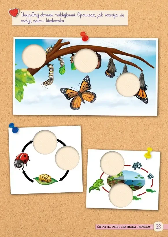 Moja książka Montessori 5-latka / Wydawnictwo Demart