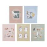 Gabinet weterynarza FSC / Little Dutch