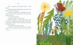 Opiekunowie nasion. Baśnie terapeutyczne / Wydawnictwo Natuli