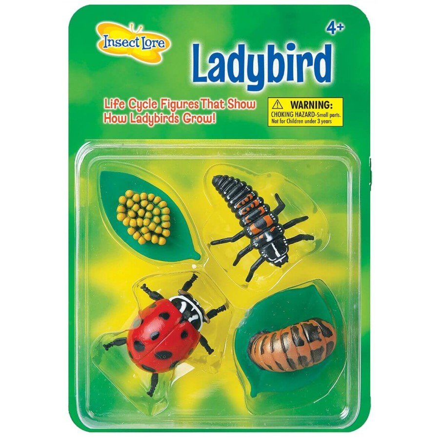 Zestaw figurek Cykl Życia Biedronki / Insect Lore