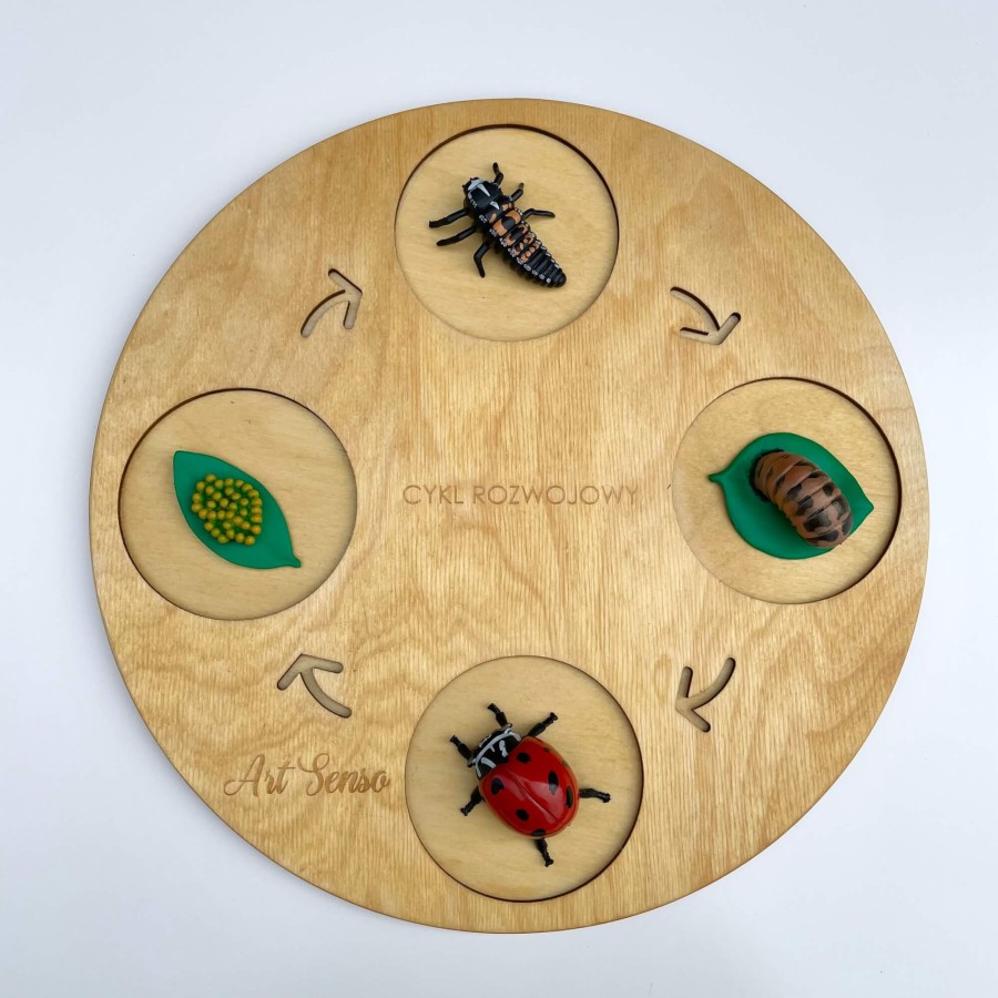 Zestaw figurek Cykl Życia Biedronki / Insect Lore