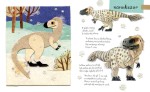 Mały atlas dinozaurów Ewy i Pawła Pawlaków / Wydawnictwo Nasza Księgarnia