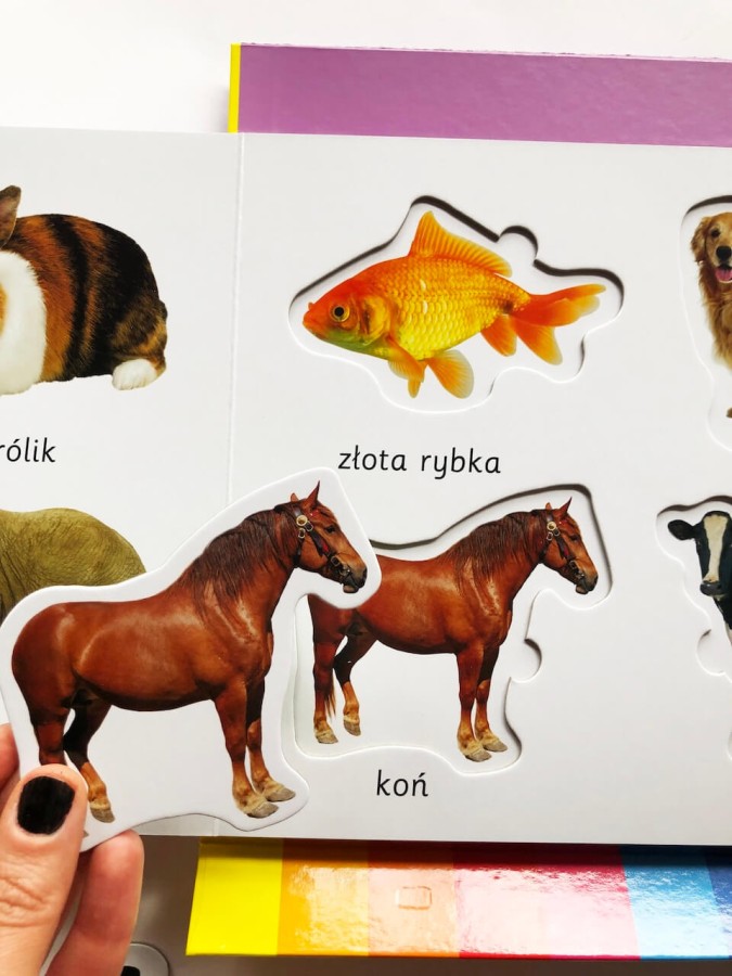 Zwierzęta. Akademia mądrego dziecka. Kolorowy świat malucha / HarperCollins