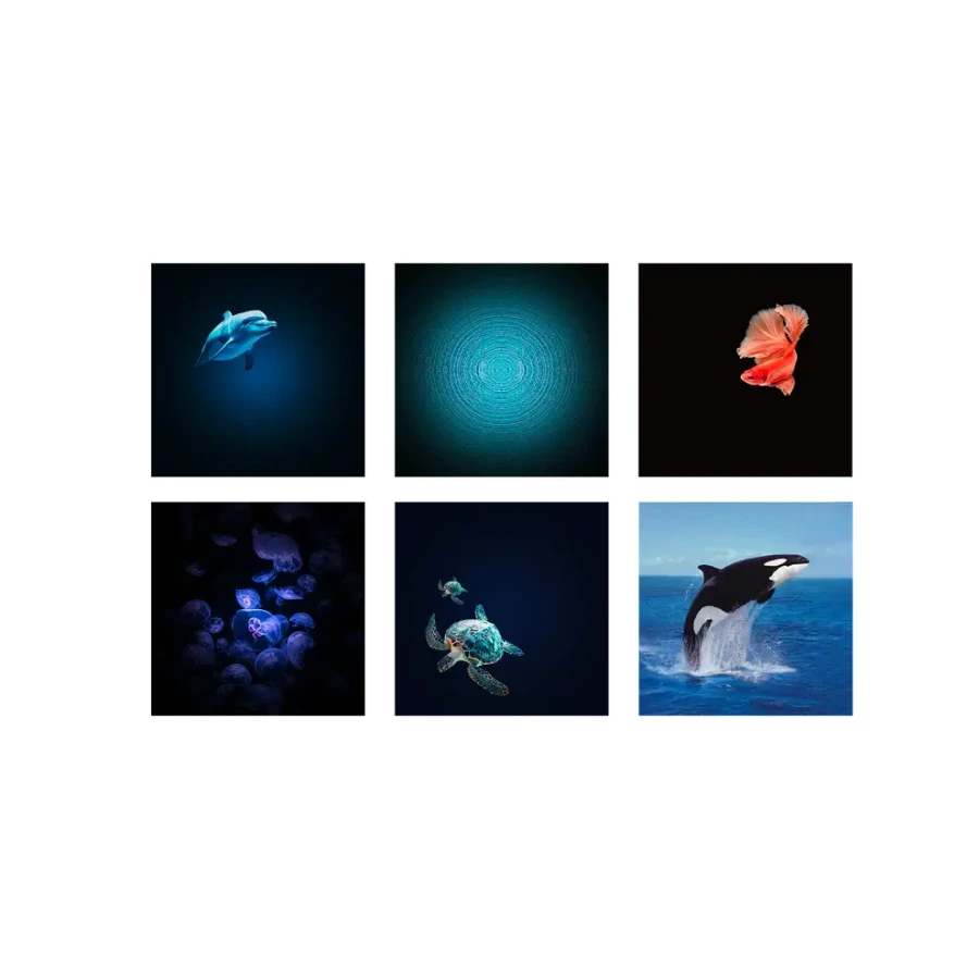 Projektor KIDYSTAR - Ocean / Kidywolf