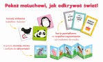 Mój pierwszy rok. Zestaw dla malucha 0-12 miesięcy / Kapitan Nauka