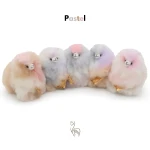 Maskotka Alpaka - Pastel Party / Inkari