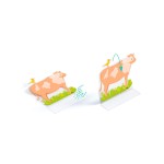 Naklejki wielokrotnego użytku 3D FARMA 3+ / Djeco