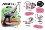 Zwierzaki cwaniaki. Akademia Mądrego Dziecka. Chcę wiedzieć / HarperCollins