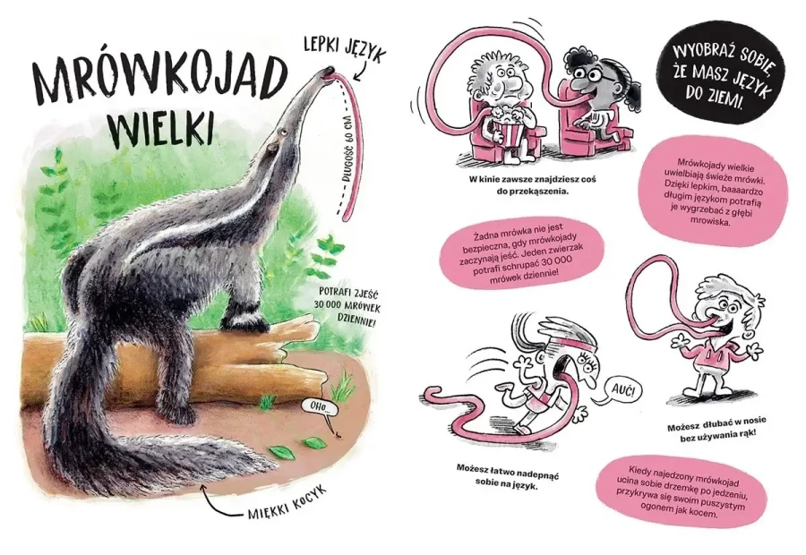 Zwierzaki cwaniaki. Akademia Mądrego Dziecka. Chcę wiedzieć / HarperCollins