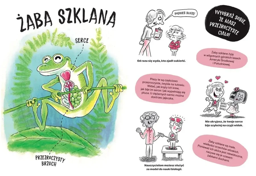 Zwierzaki cwaniaki. Akademia Mądrego Dziecka. Chcę wiedzieć / HarperCollins