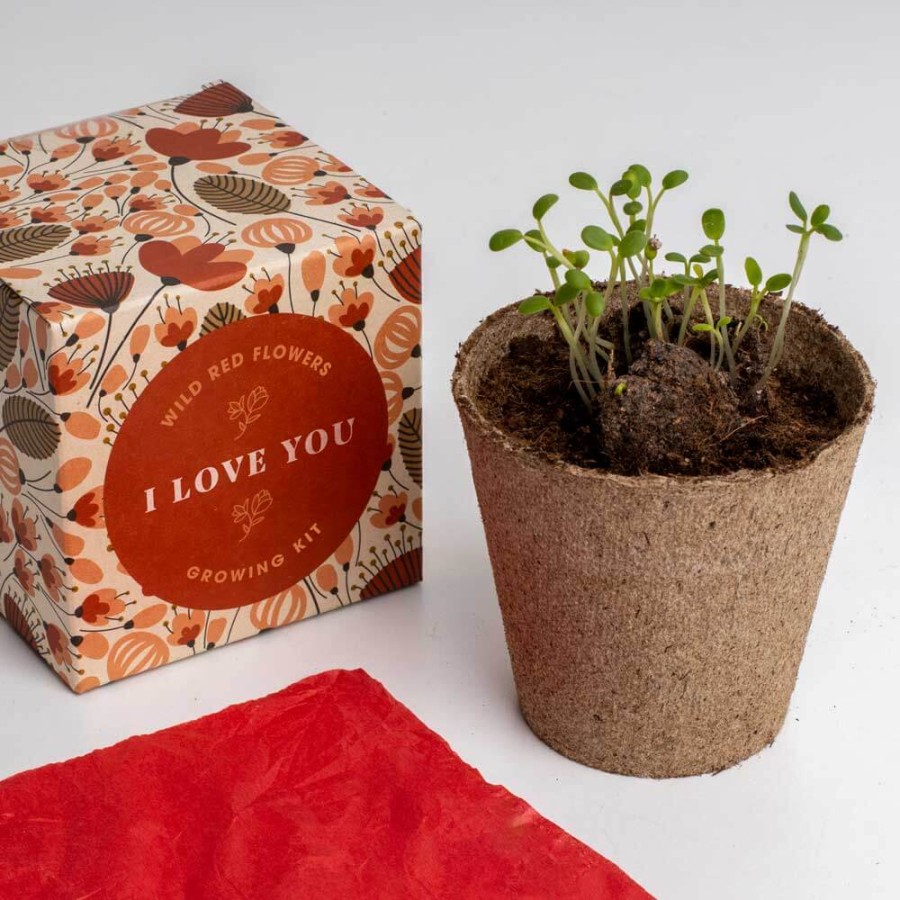 Zestaw prezentowy do sadzenia kwiatów Say it with Flowers - I love you / Resetea