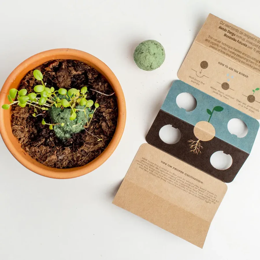 Bomby nasienne - Mediterranean Garden, 2szt. / Resetea