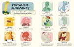 Co ciekawi dinozaury. Opowieści 5 minut przed snem / HarperCollins