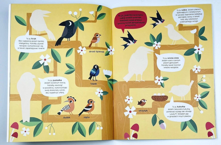 Przyklejam duże naklejki i się uczę. Lasy, łąki, pola / YOYO BOOKS