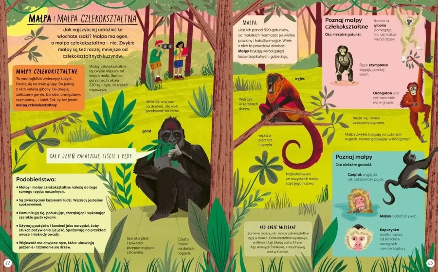 Encyklopedia rzeczy, które się mylą. Świat a wszechświat, tornado a huragan, mikroskop a teleskop oraz wiele innych par / Nasza Księgarnia