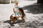 Kombinezon do pływania z krótkim rękawem UV60 Beach Dog - Orange, dark sea / Lassig