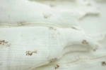 Śpiworek z organicznego muślinu 2.5 TOG - alpacas / My Memi