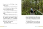 ChodźMY na dwór. Jak natura uratowała moje macierzyństwo. / Wydawnictwo Mamania