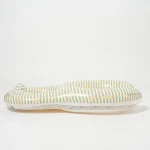 Pływający fotelik dla niemowląt Duck Sage Stripe / Sunny Life
