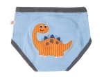 Majtki Treningowe - Boy / Zoocchini