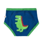 Majtki Treningowe - Boy / Zoocchini