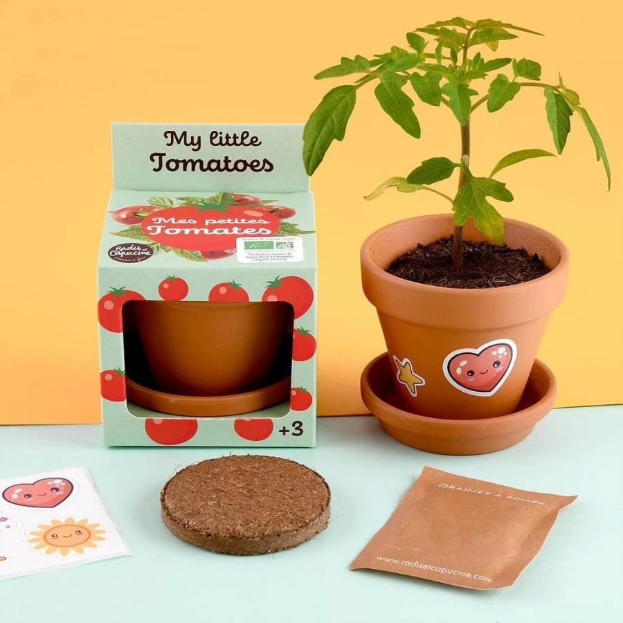 Pomidorki do samodzielnej uprawy My Little Tomatoes / Radis et Capucine
