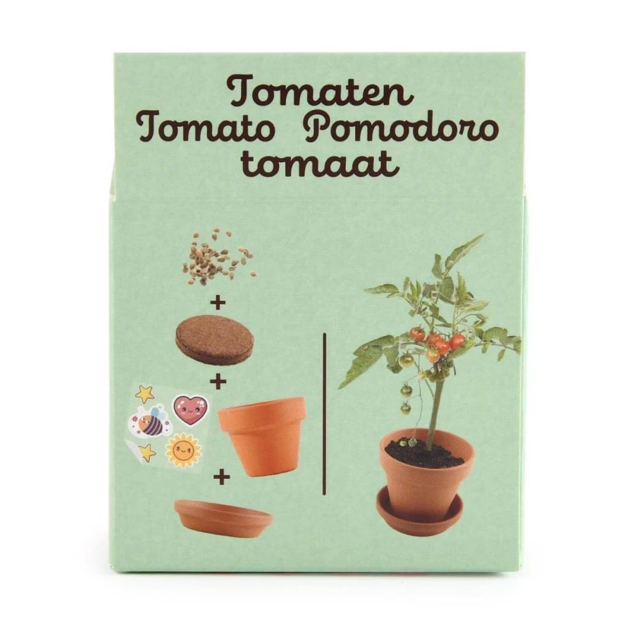 Pomidorki do samodzielnej uprawy My Little Tomatoes / Radis et Capucine