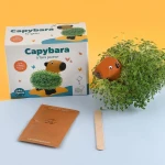 Kapibara z terakoty do zasiania nasion chia / Radis et Capucine