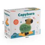 Kapibara z terakoty do zasiania nasion chia / Radis et Capucine
